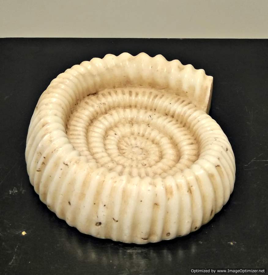 Marble Snail Shell