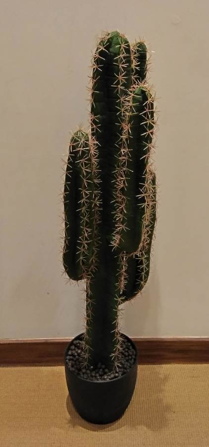 Artificial Cactus Plant